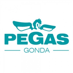 PEGAS-GONDA s.r.o (Чехия)
